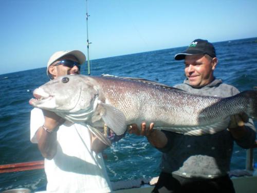 GIGANTES DEL MAR